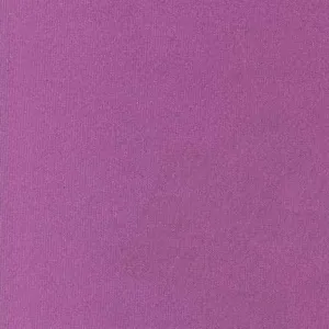 21 Wale Corduroy in Amethyst