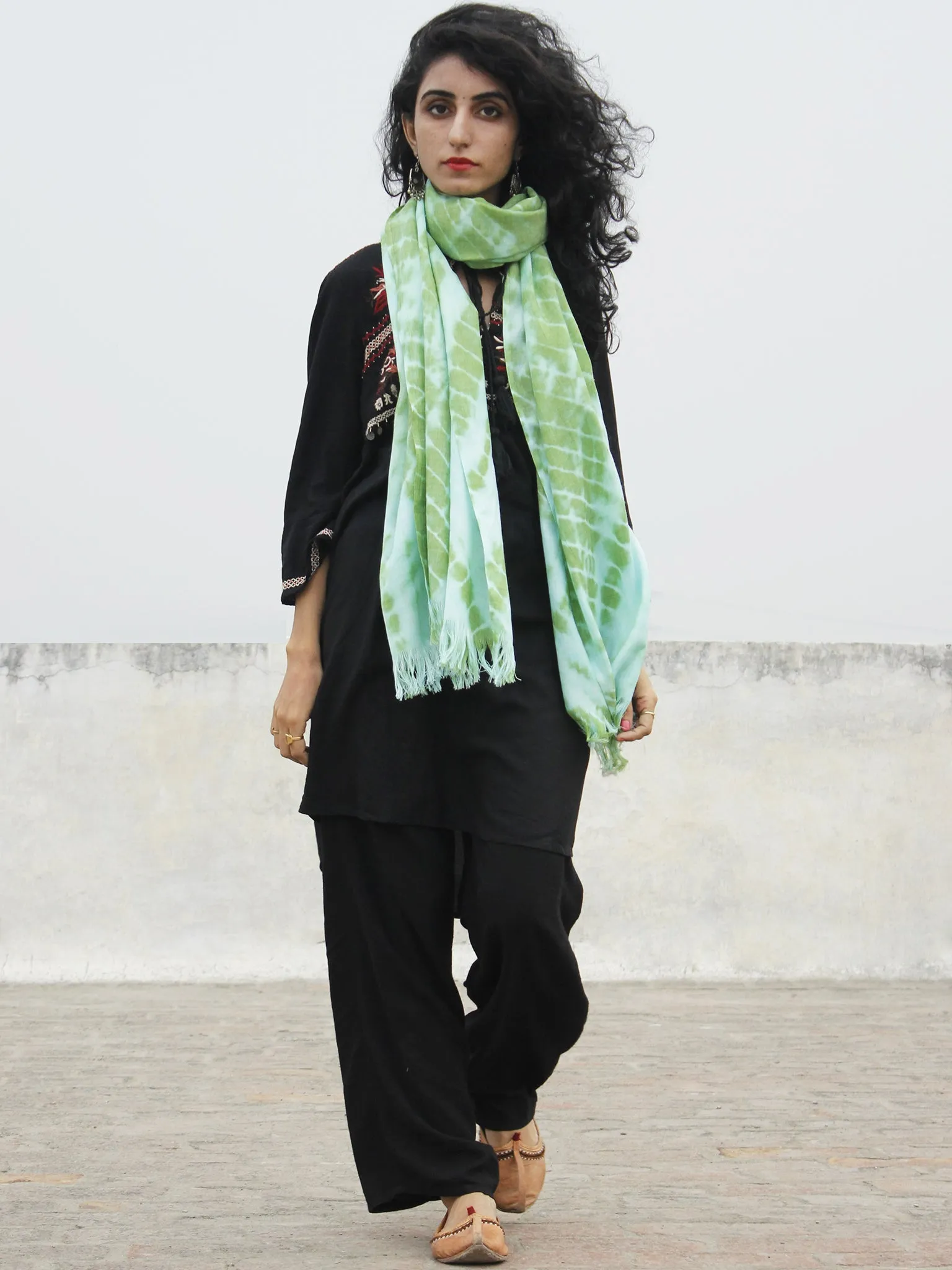 Green Ivory Cashmere Semi Pashmina Woolen Tie & Dye Stole - S6317188
