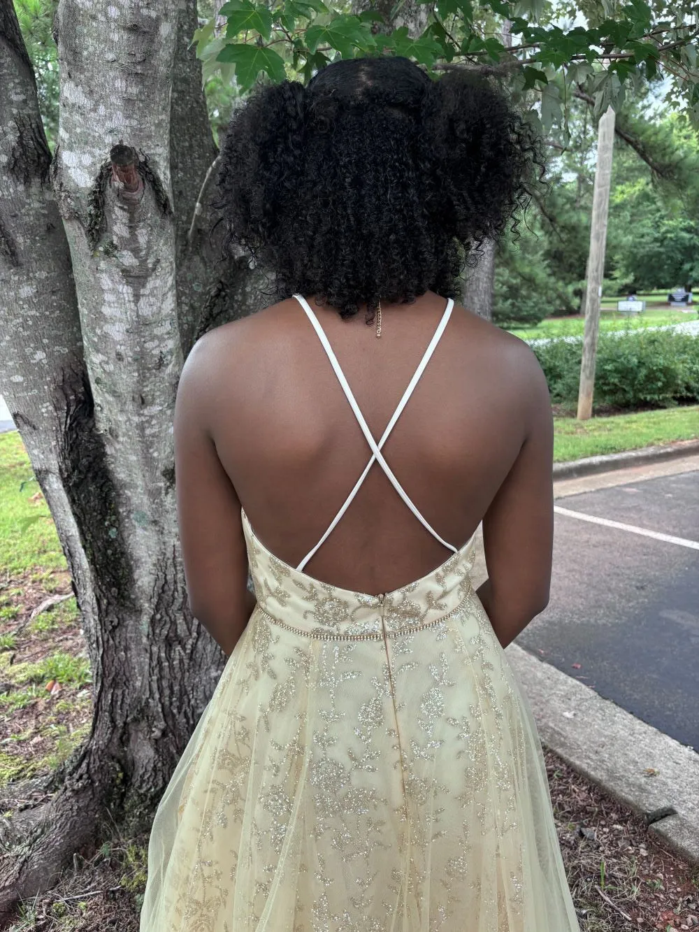 Lucci Lu 28801 Rose Gold Halter A-Line Tulle Dress