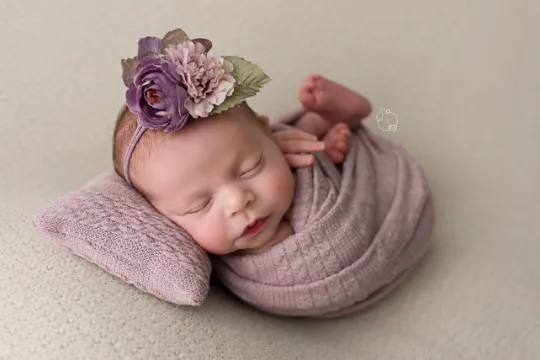 Quade Sweater Knit Collection in Lavender
